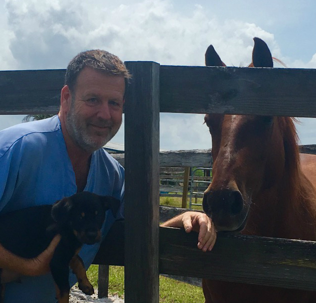 Let the horse breeding season begin at the Equine Health and